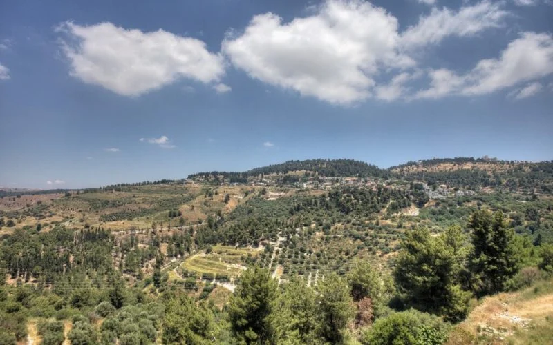 מצפה הארי – צימר בצפת – תמונה 5