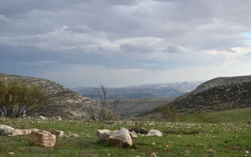 צימר נווה זית – צימר בכוכב השחר – תמונה 5