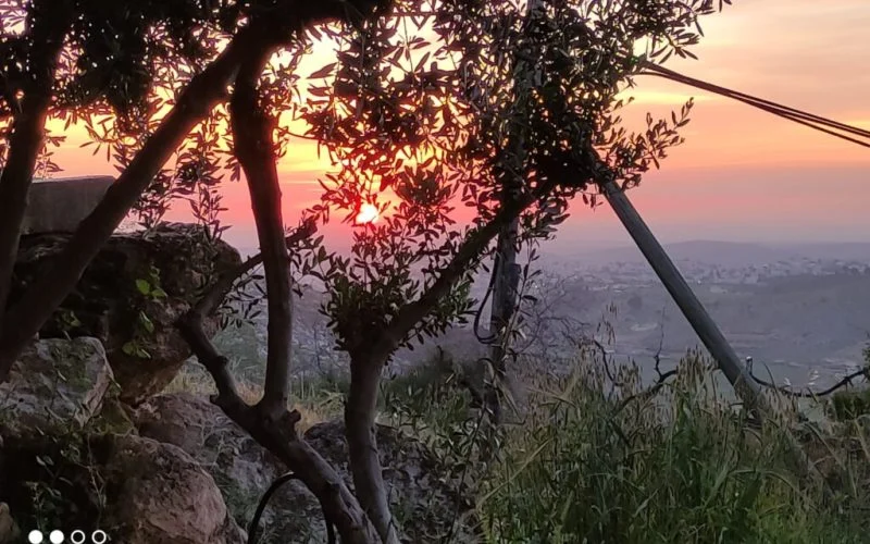 צימר נוף לשקיעה – צימר באדורה – תמונה 5